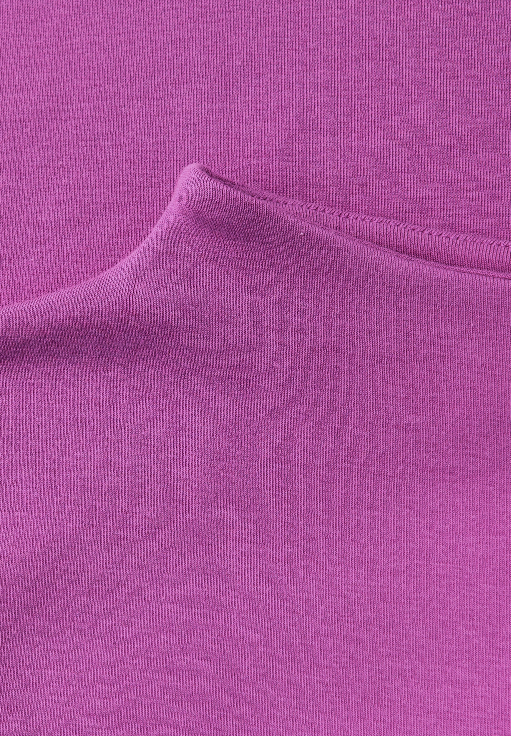 LTD QR_Studio_basic turtle nec #2