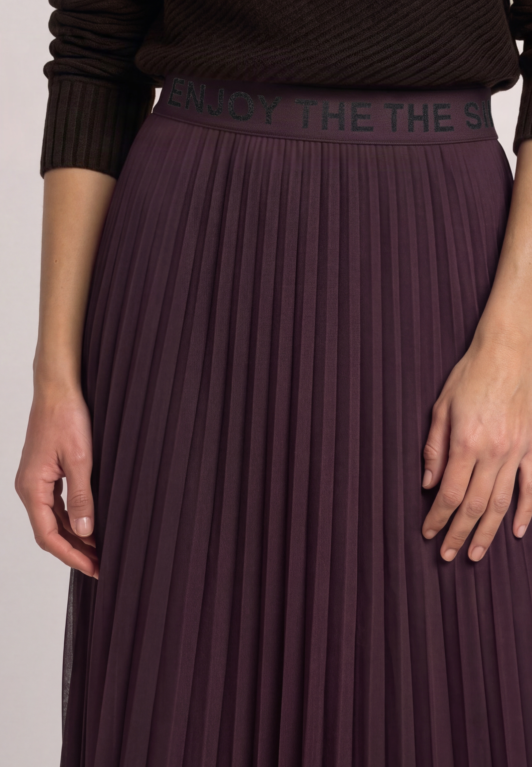 Mesh Plissée skirt_solid #6
