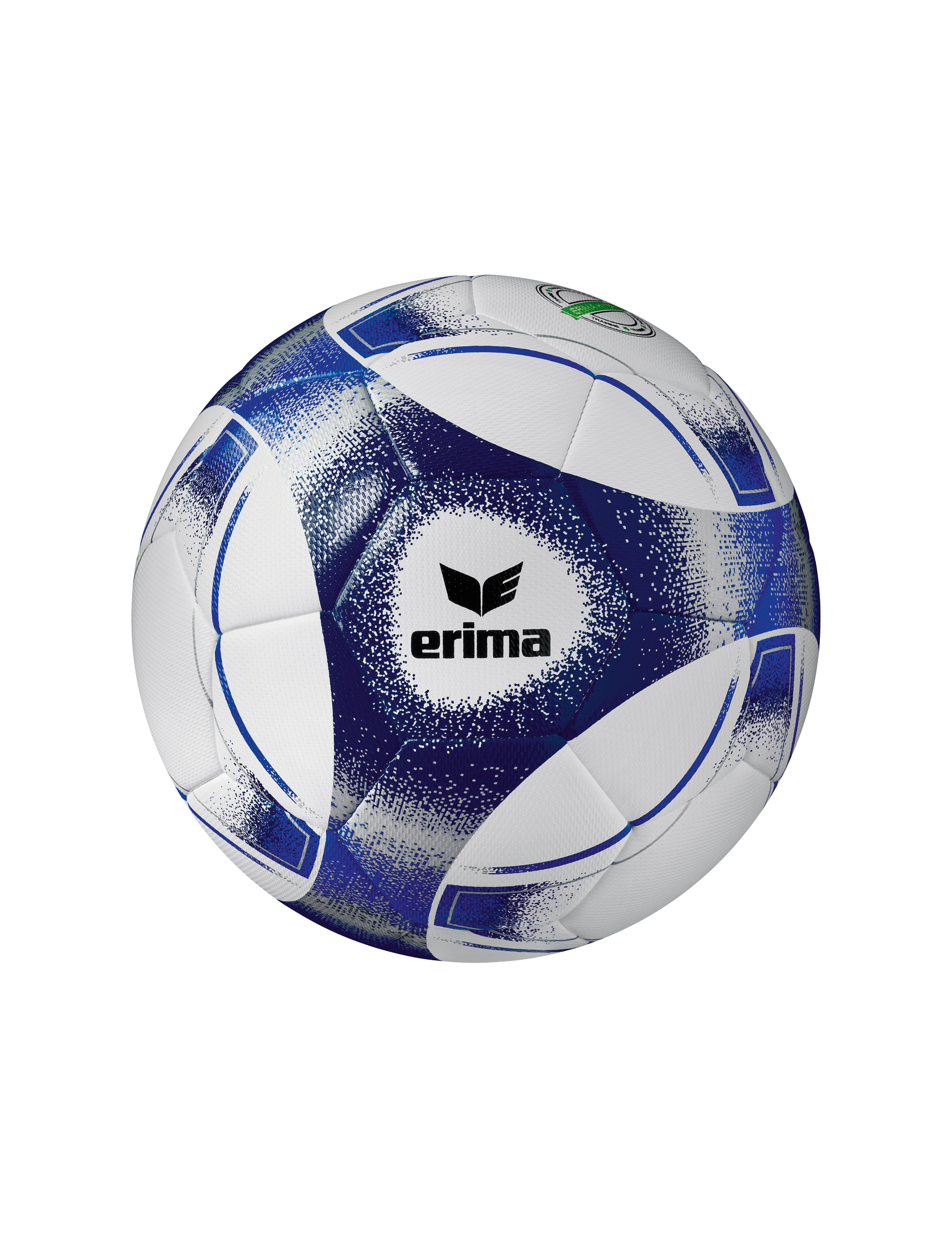 ERIMA Hybrid Training