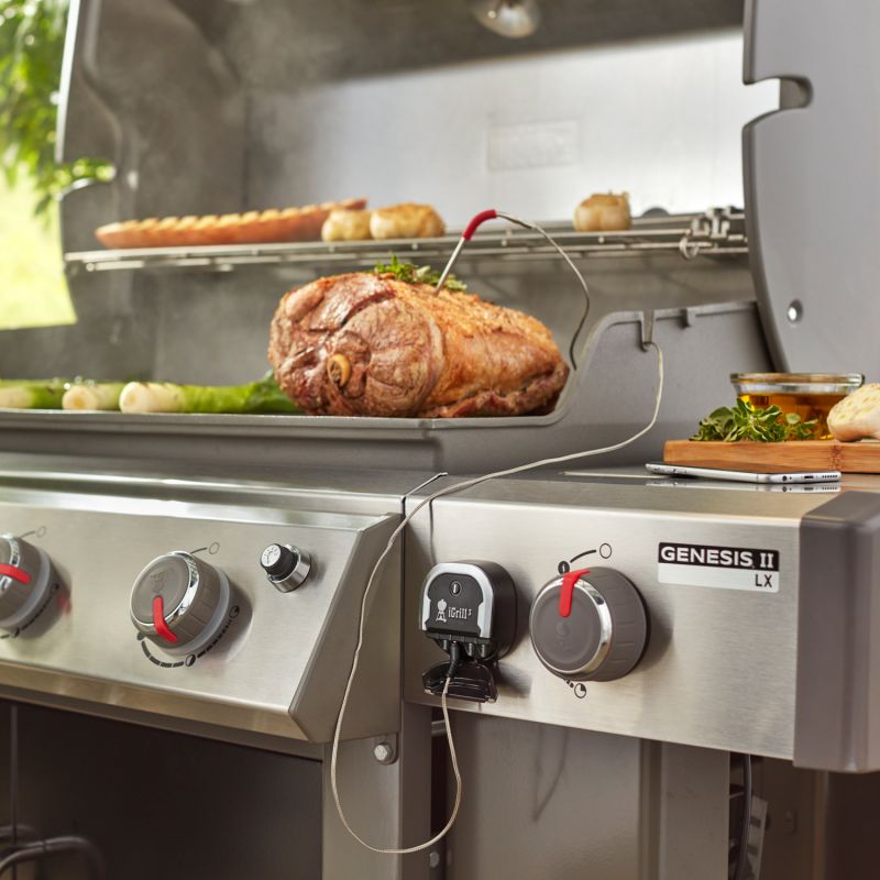 Weber iGrill Pro Messfühler für Grillgut #2