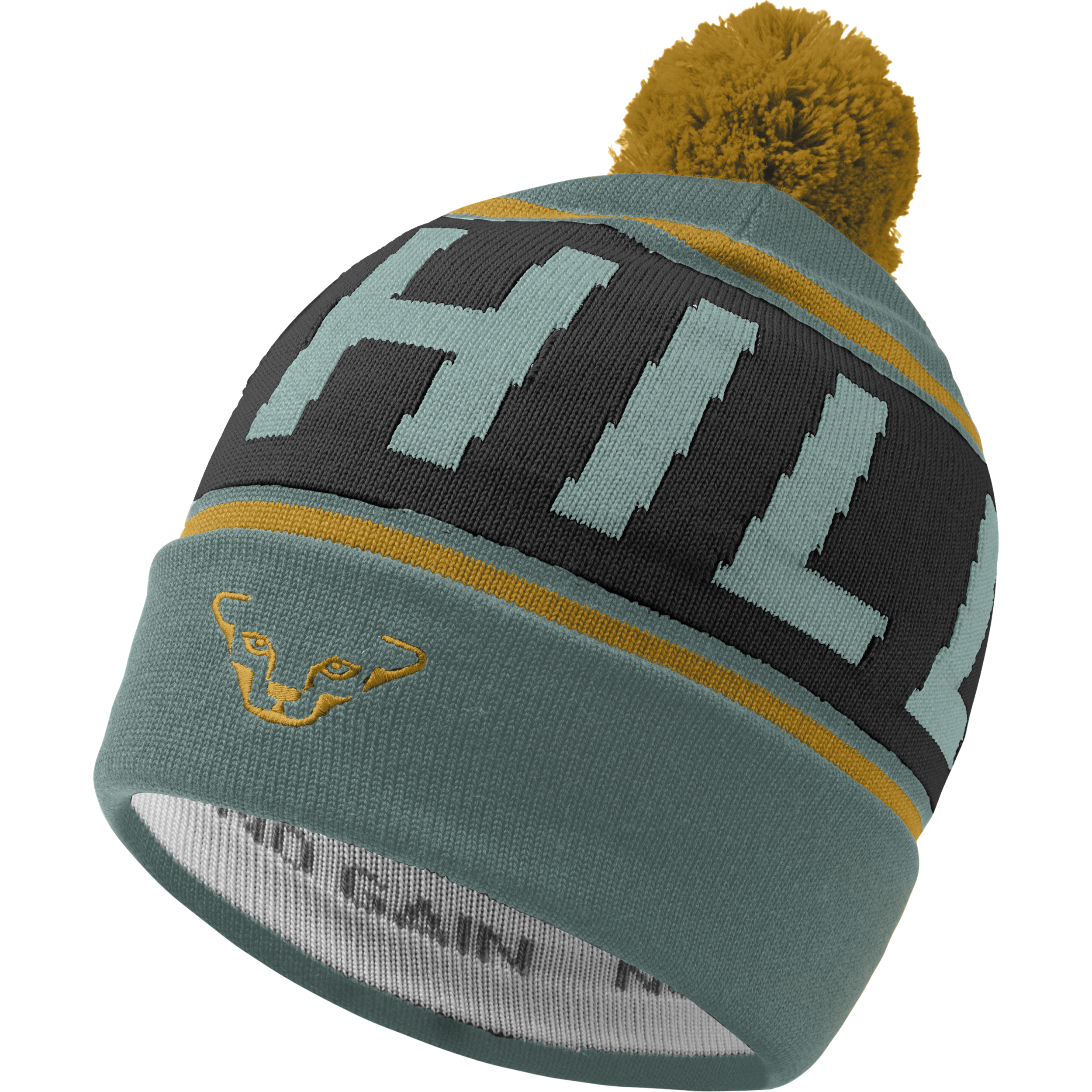 SKIUPHILL BEANIE #1