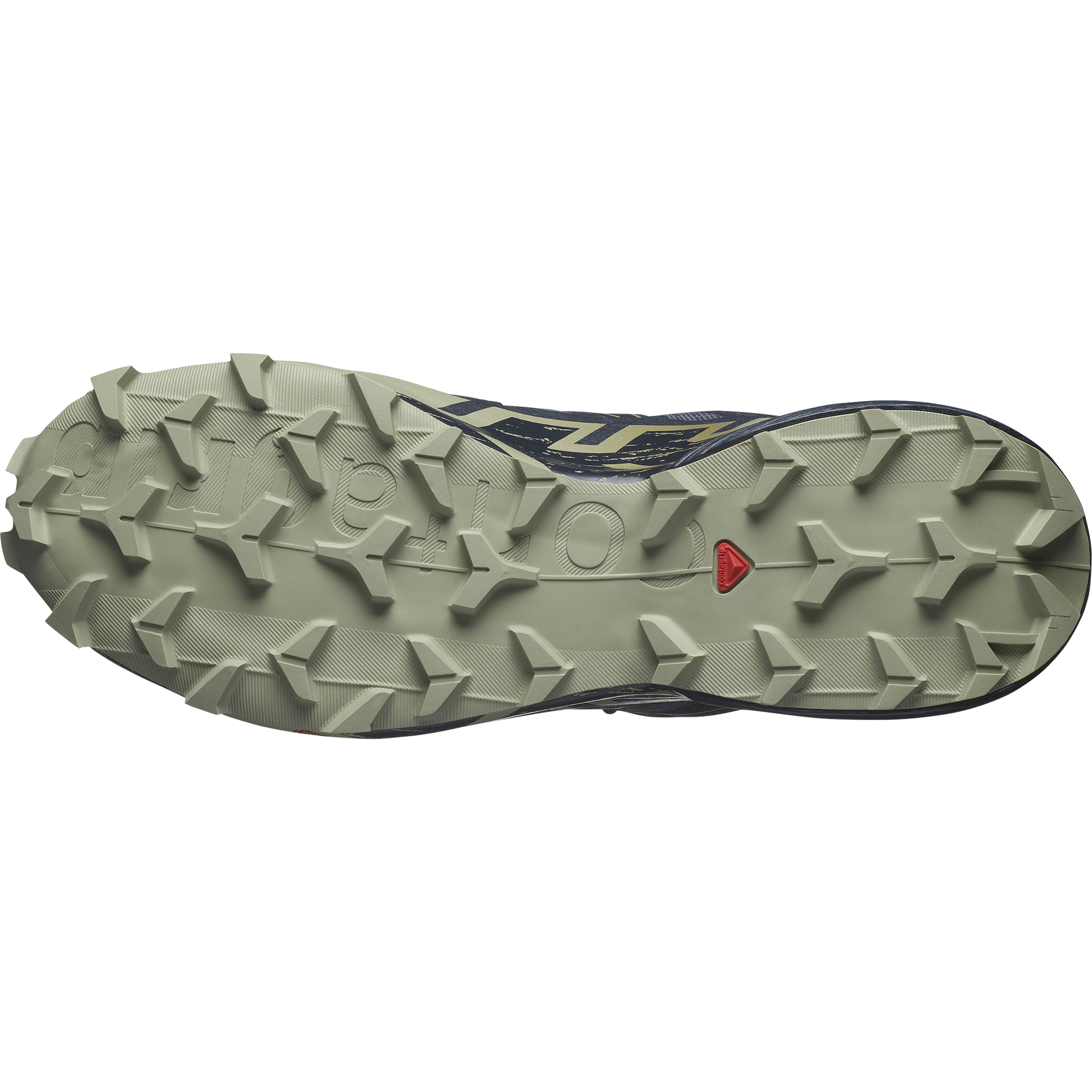 SHOES SPEEDCROSS 6 GTX Grisai/Carbon/Tea #4