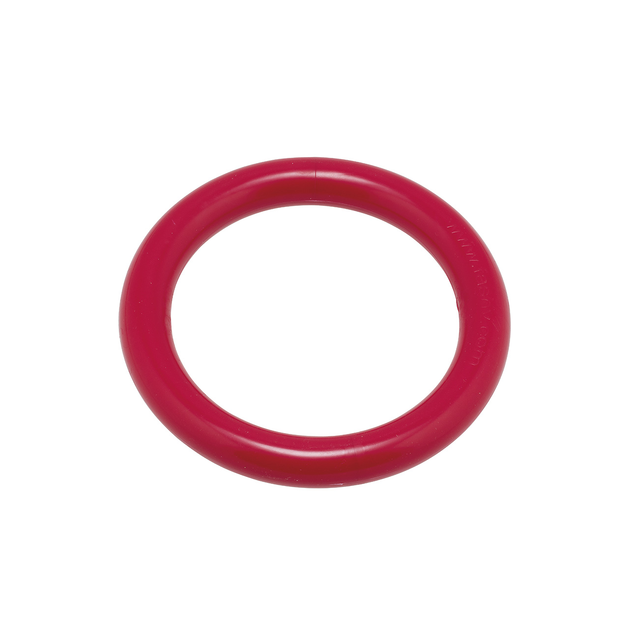 Tauchring #4