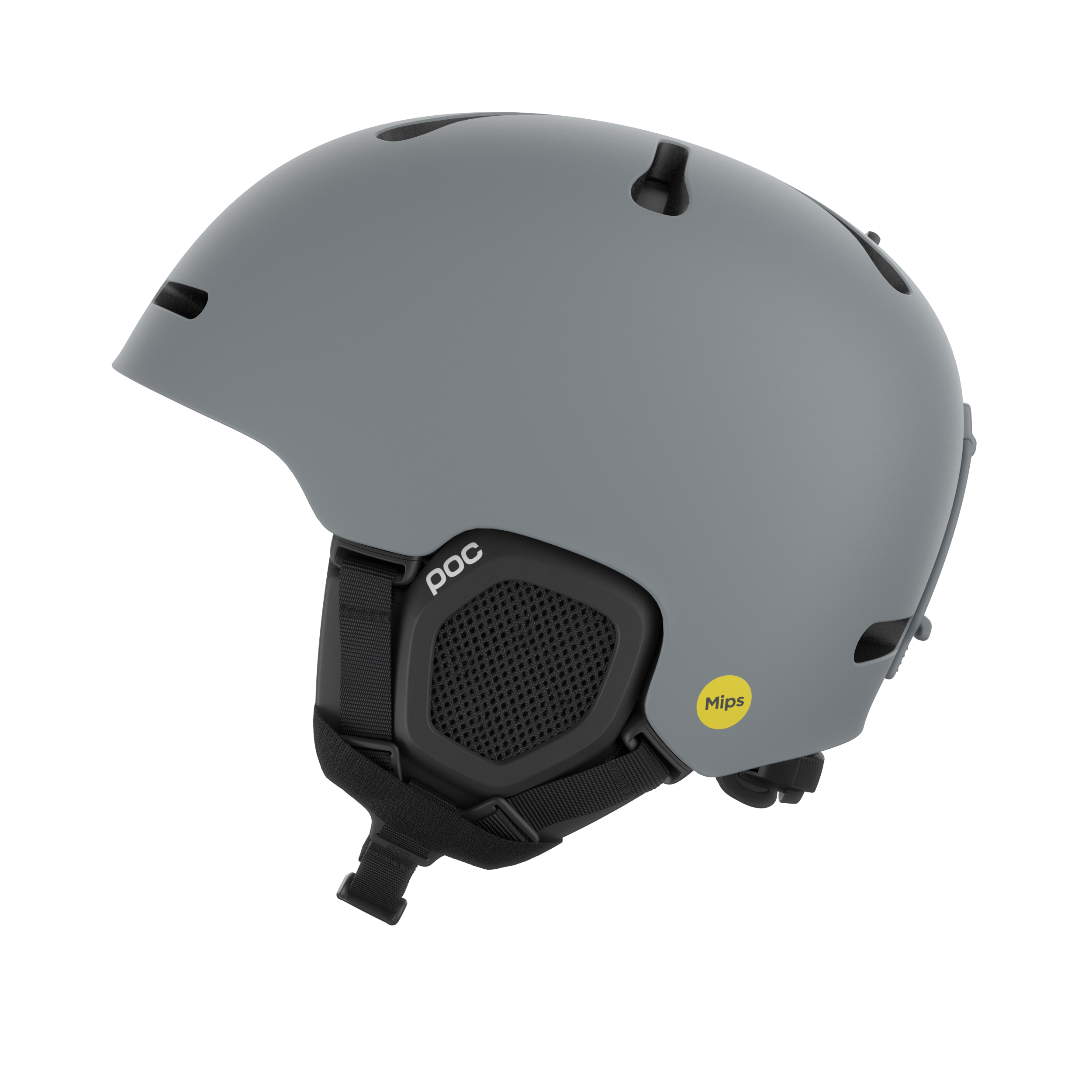 Fornix MIPS #1