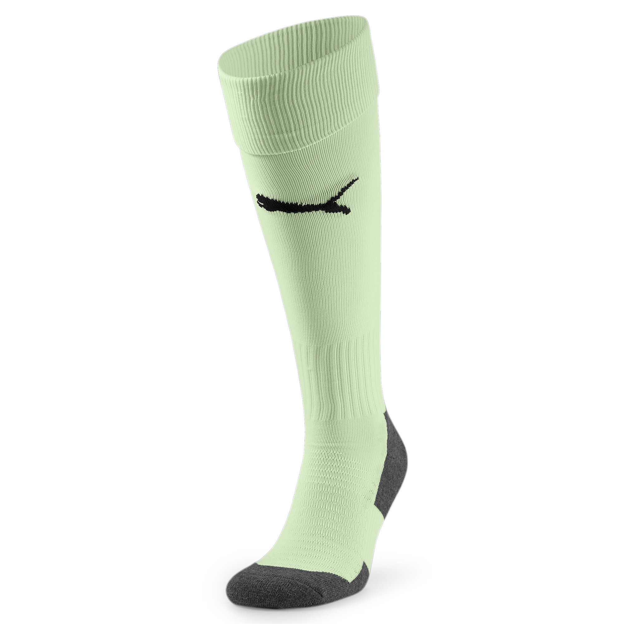 Team LIGA Socks CORE #1