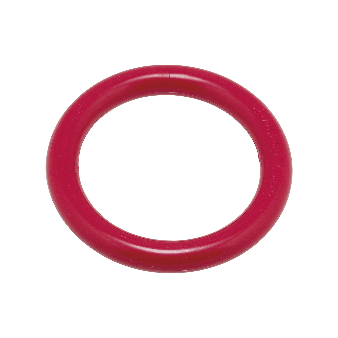 Tauchring #1