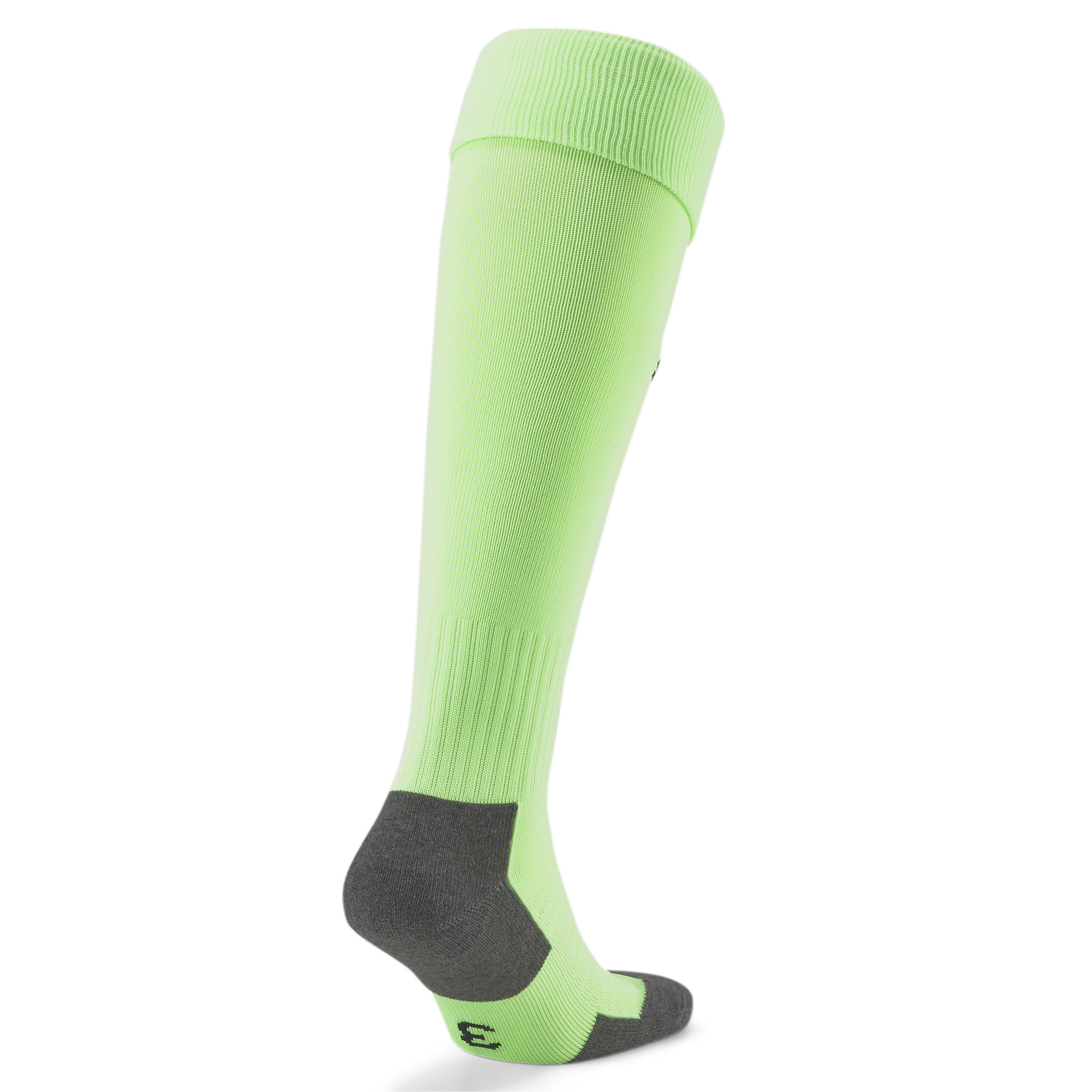 Team LIGA Socks CORE #2