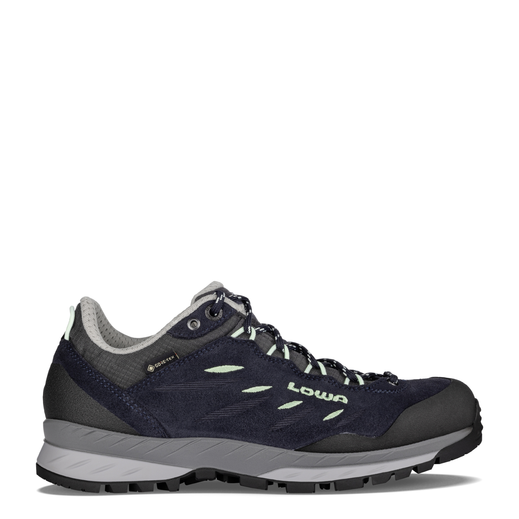 DELAGO GTX LO Ws #1