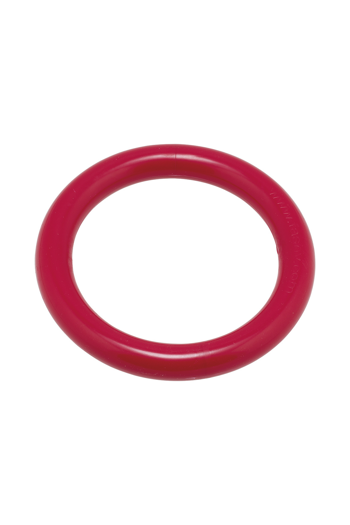 Tauchring #2