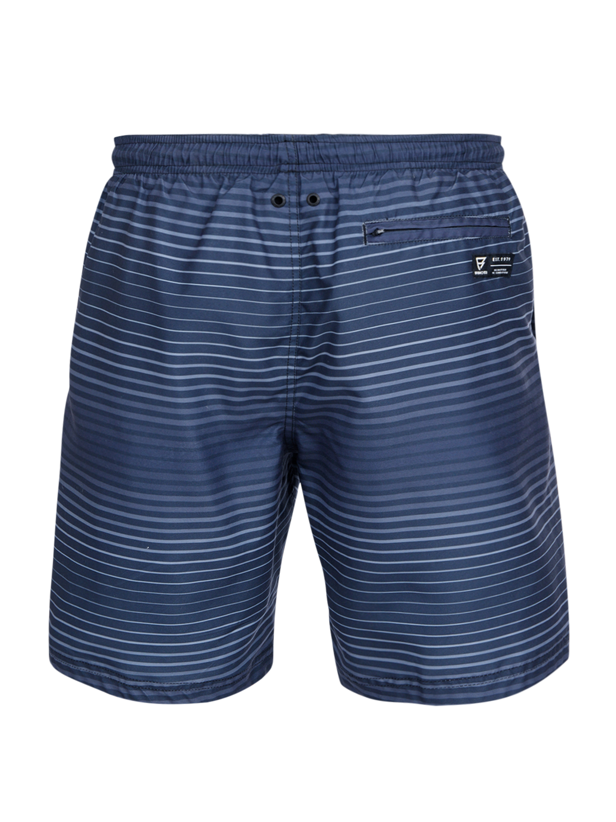 Cester-Stripe Men Swim Shorts #2