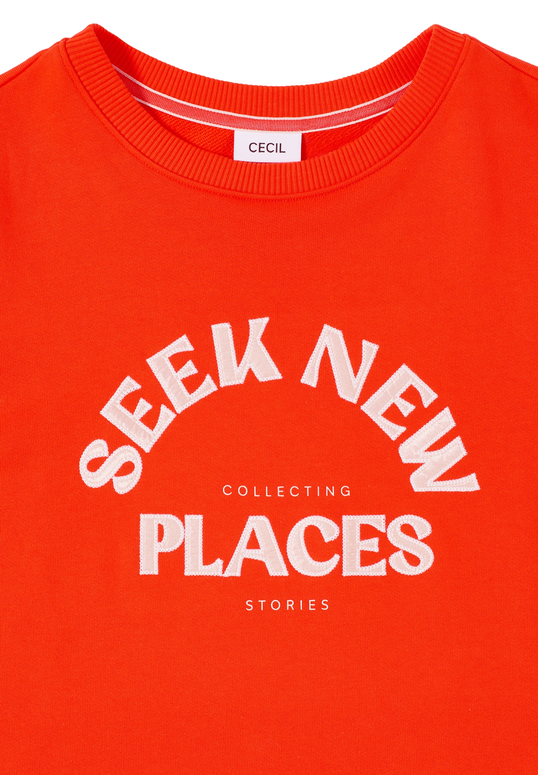 Sweatshirt with Embroidery #2