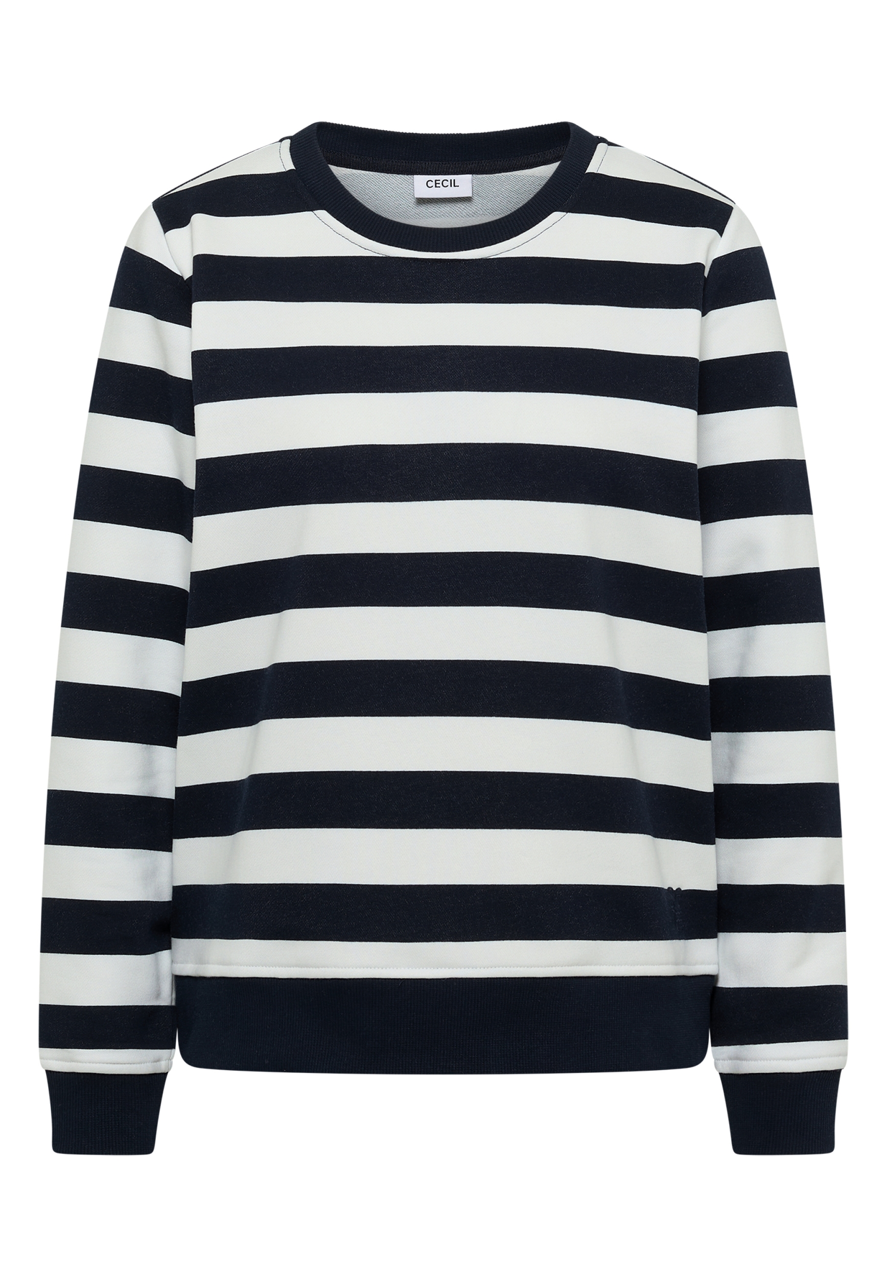 Striped Sweatshirt #1