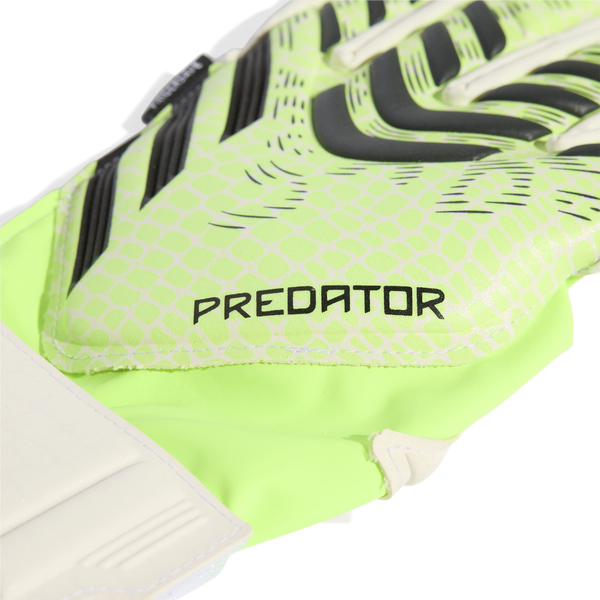 PRED GL MTC FSJ #3