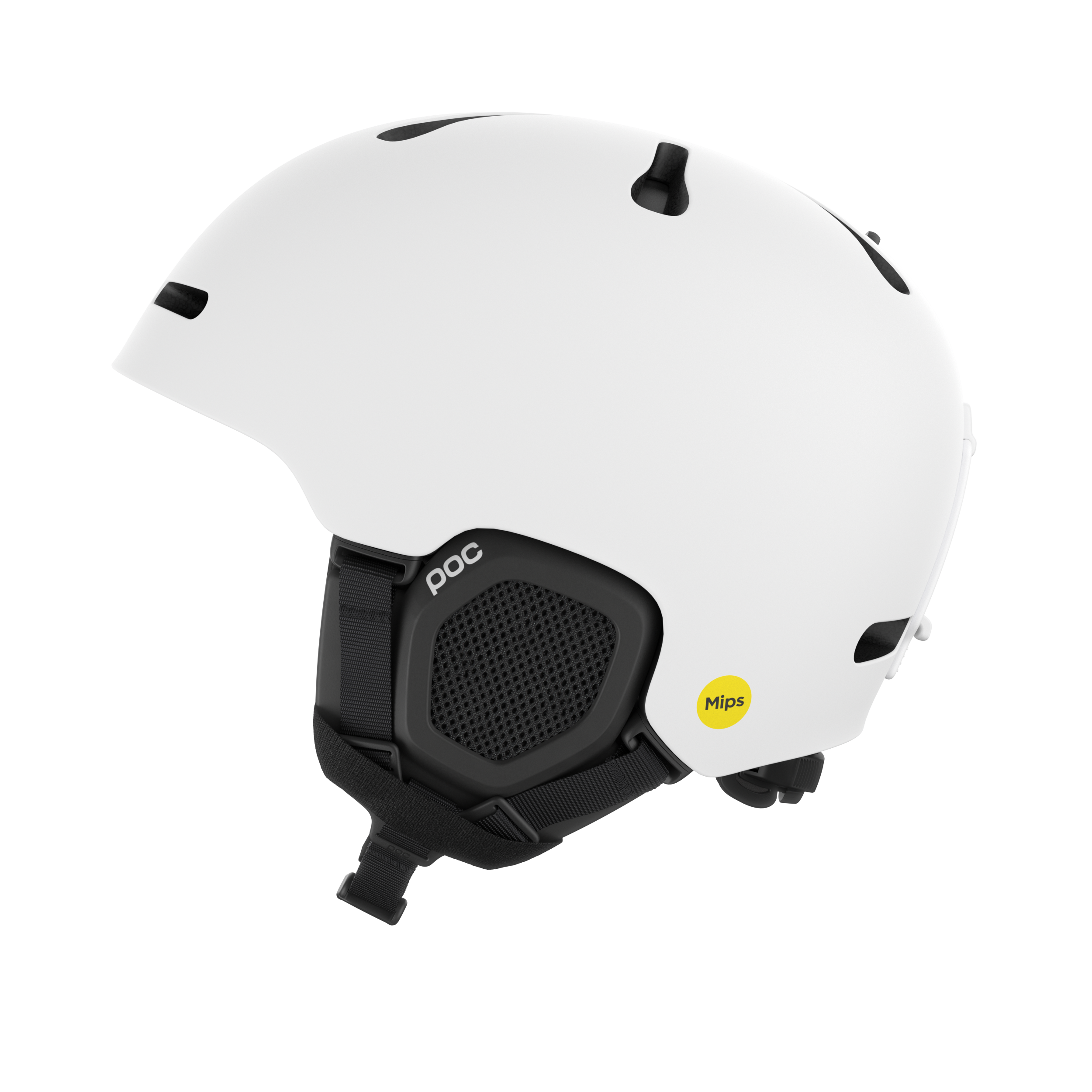 Fornix MIPS #1