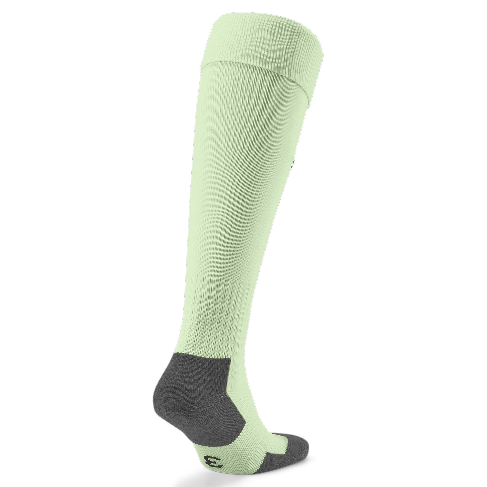 Team LIGA Socks CORE #2