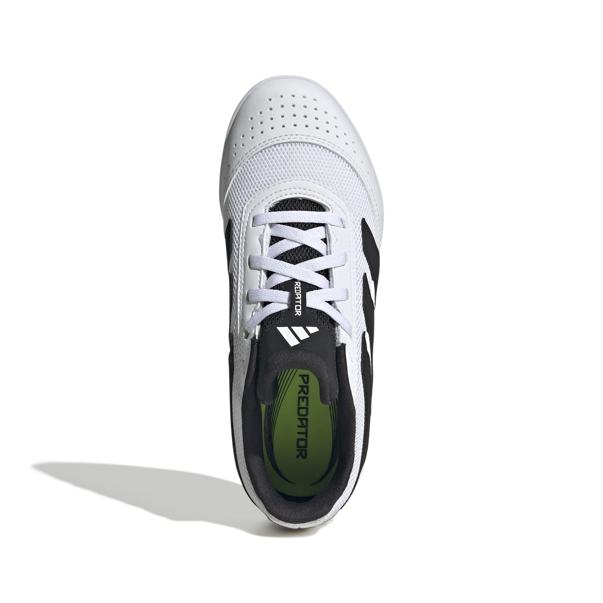 PREDATOR CLUB IN SALA J #2