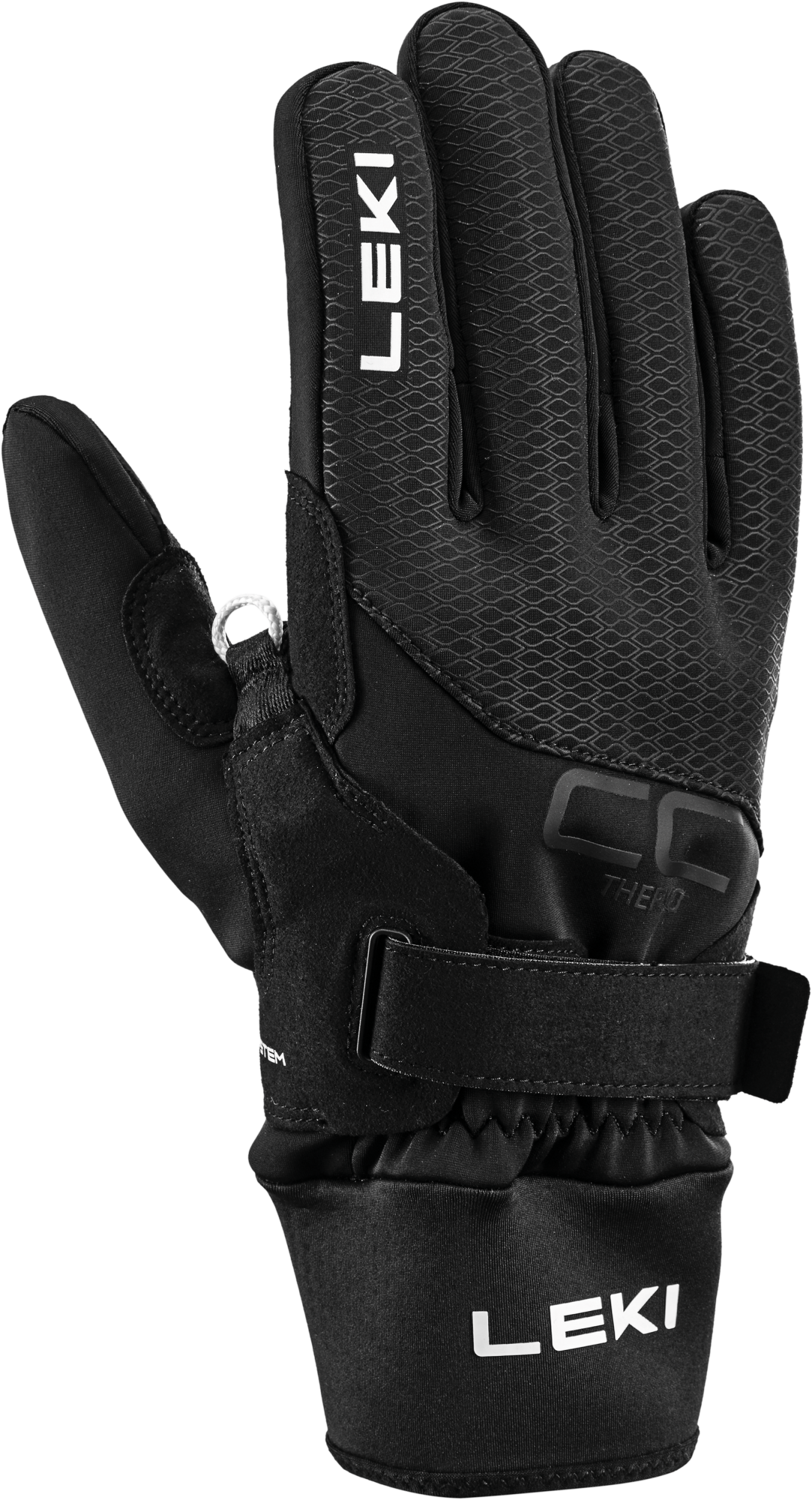 CC Thermo Shark #1