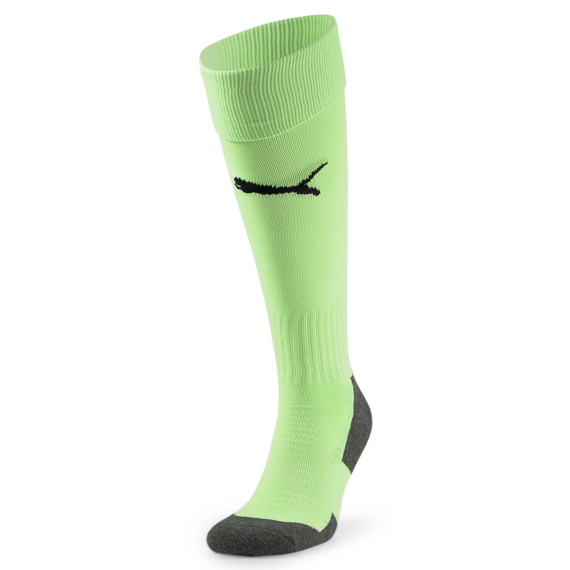 Team LIGA Socks CORE #1