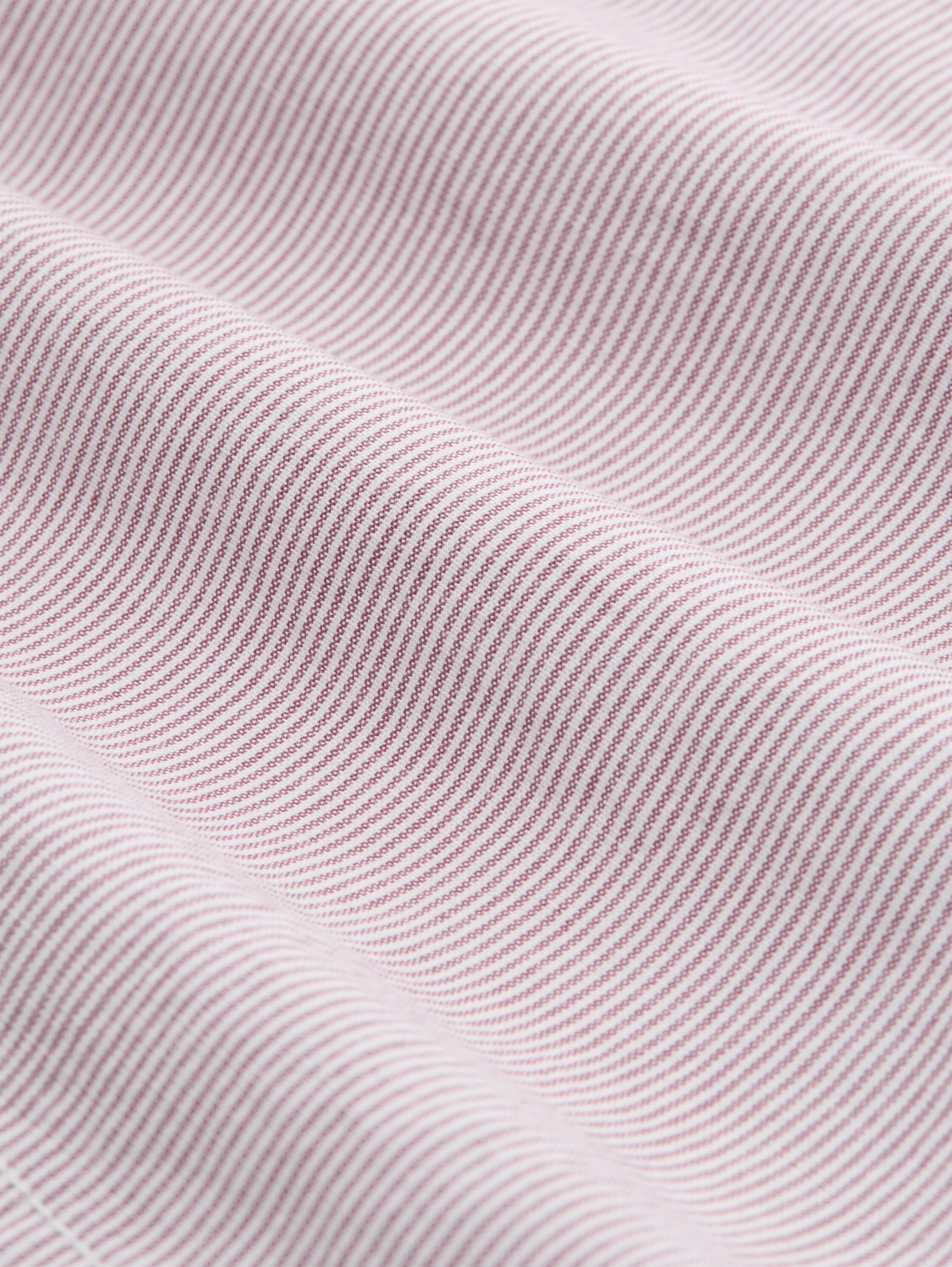 TTChino Bermuda striped #3