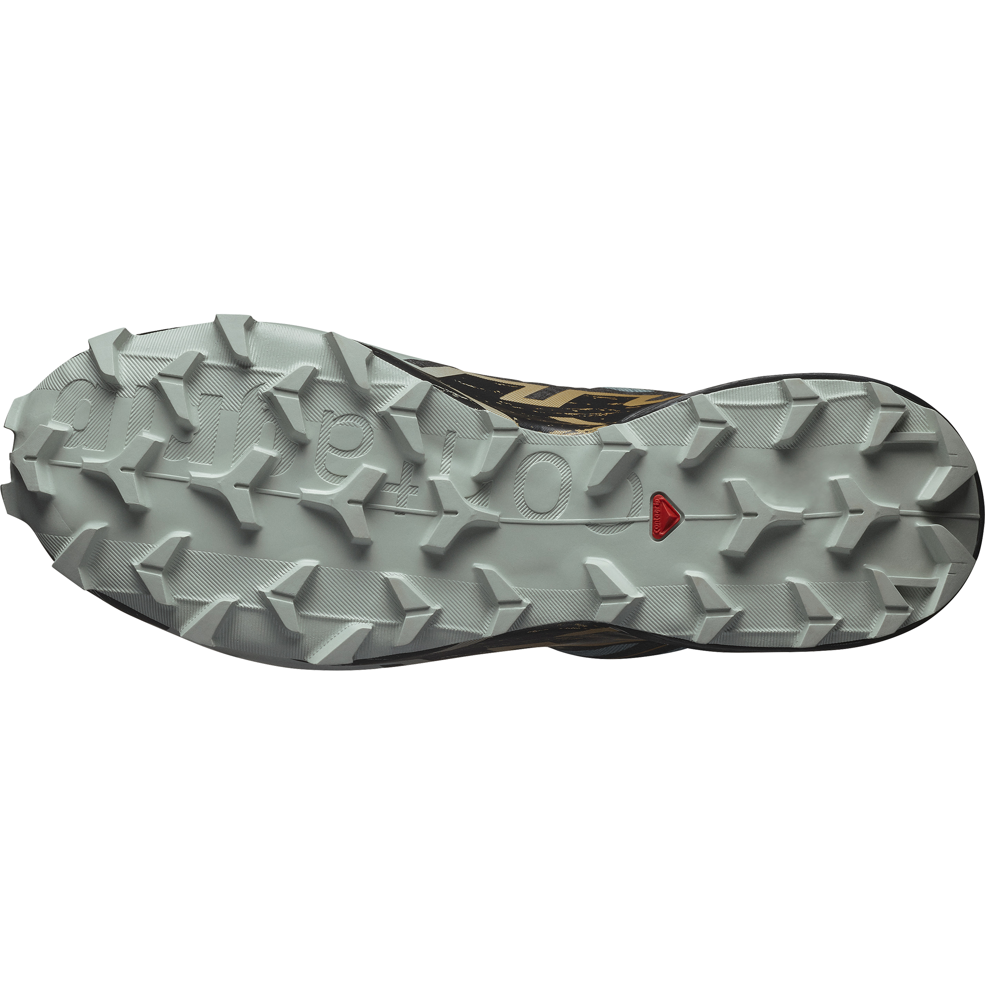 SHOES SPEEDCROSS 6 GTX Troope/Black/Wood #3