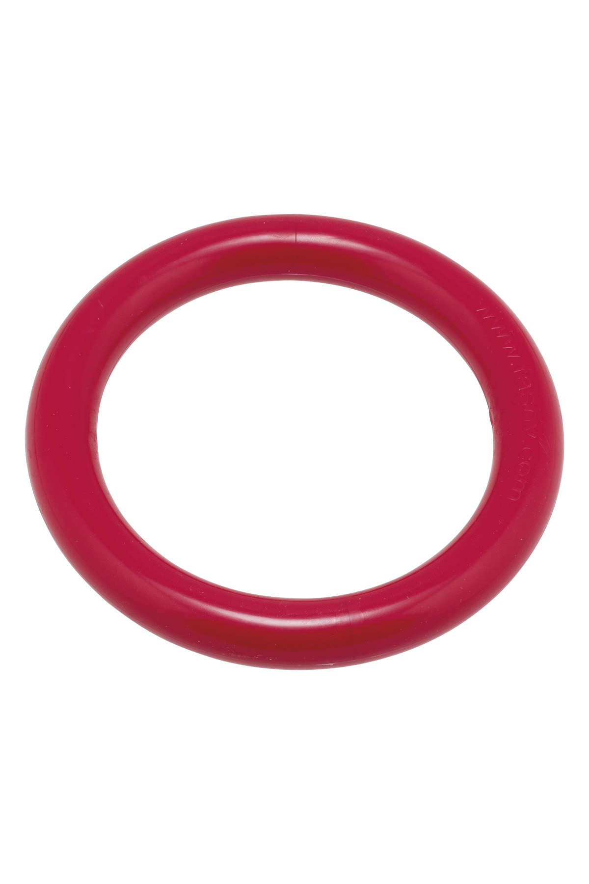 Tauchring #3