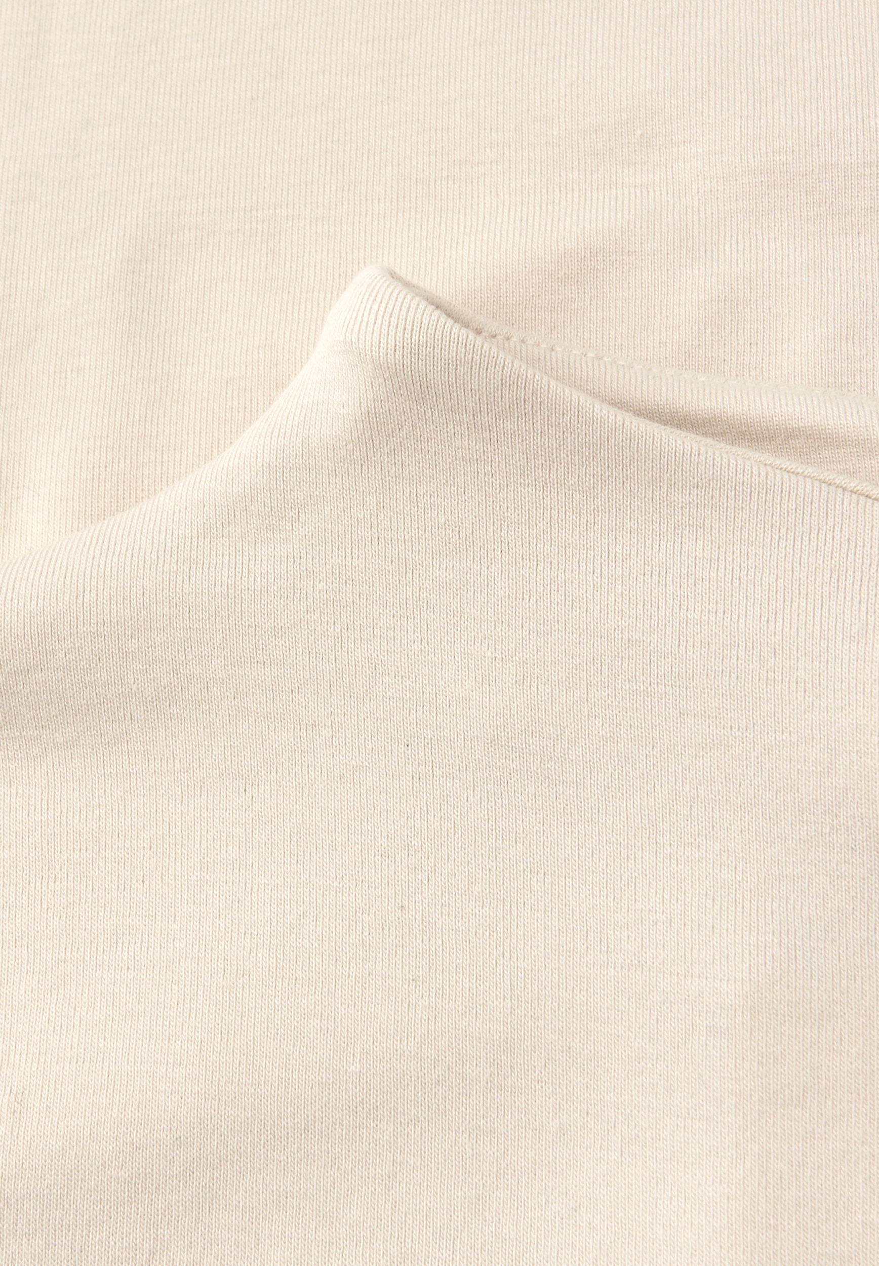 LTD QR_Studio_basic turtle nec #2