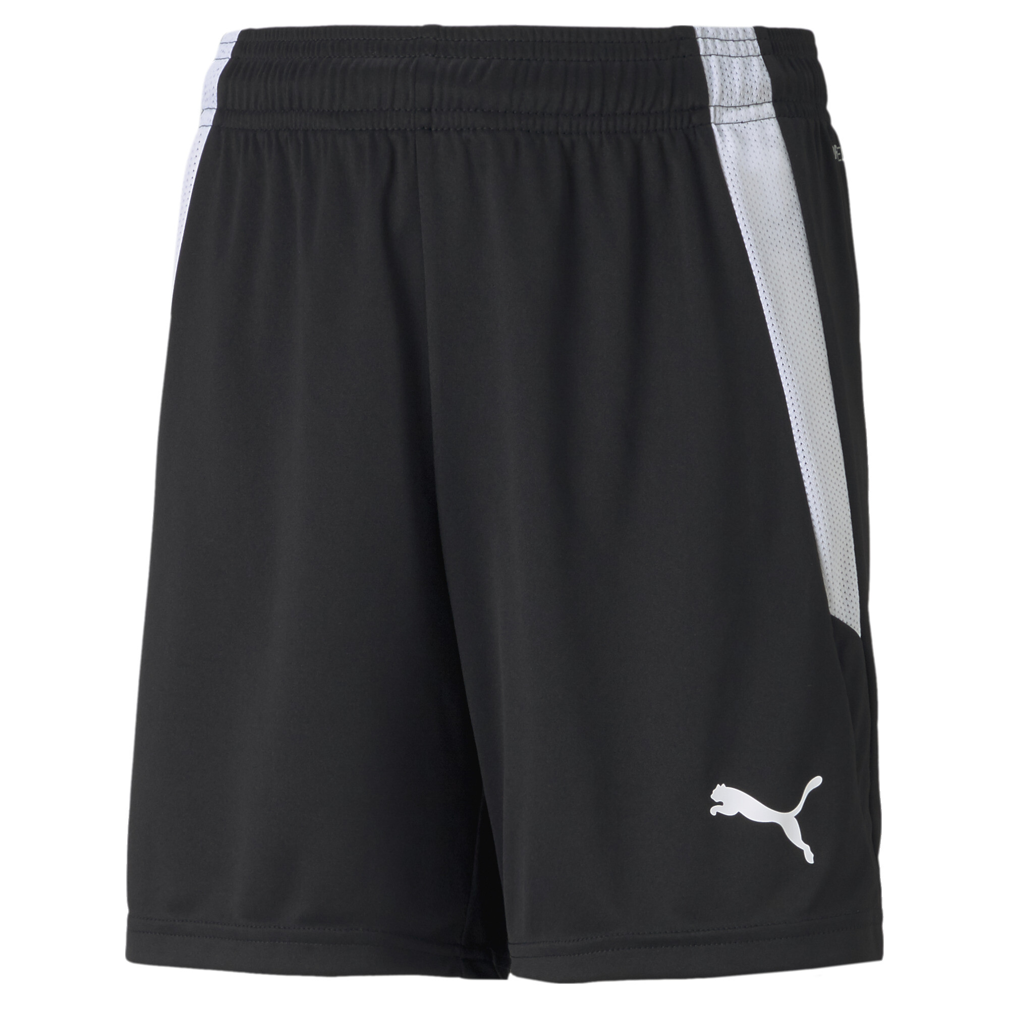 teamLIGA Shorts Jr #1